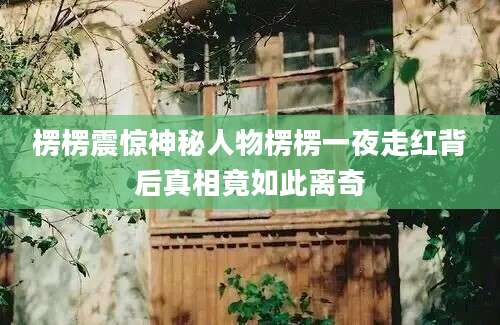 楞楞震惊神秘人物楞楞一夜走红背后真相竟如此离奇