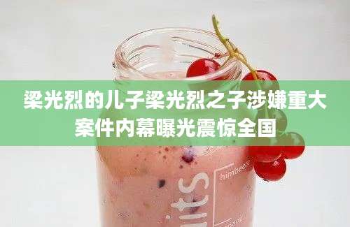 梁光烈的儿子梁光烈之子涉嫌重大案件内幕曝光震惊全国