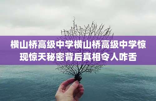 横山桥高级中学横山桥高级中学惊现惊天秘密背后真相令人咋舌