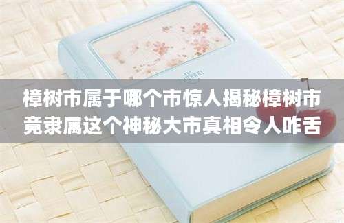 樟树市属于哪个市惊人揭秘樟树市竟隶属这个神秘大市真相令人咋舌