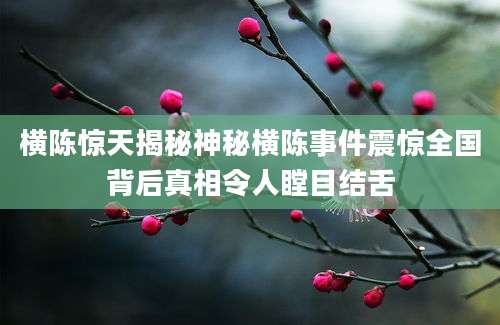 横陈惊天揭秘神秘横陈事件震惊全国背后真相令人瞠目结舌