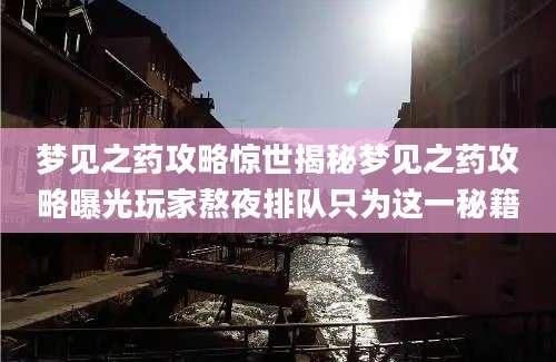 梦见之药攻略惊世揭秘梦见之药攻略曝光玩家熬夜排队只为这一秘籍