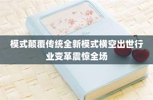 模式颠覆传统全新模式横空出世行业变革震惊全场