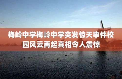 梅岭中学梅岭中学突发惊天事件校园风云再起真相令人震惊