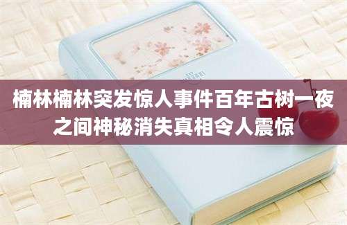 楠林楠林突发惊人事件百年古树一夜之间神秘消失真相令人震惊