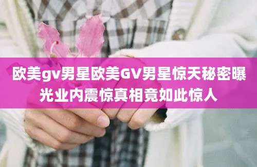 欧美gv男星欧美GV男星惊天秘密曝光业内震惊真相竟如此惊人