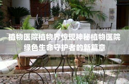 植物医院植物界惊现神秘植物医院绿色生命守护者的新篇章