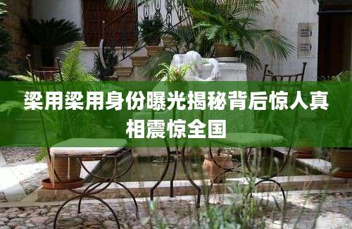 梁用梁用身份曝光揭秘背后惊人真相震惊全国