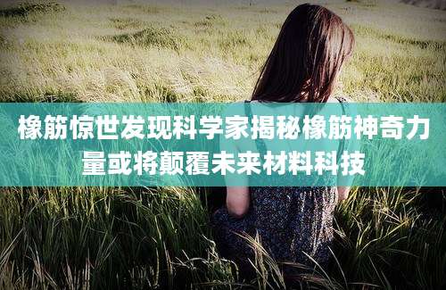 橡筋惊世发现科学家揭秘橡筋神奇力量或将颠覆未来材料科技