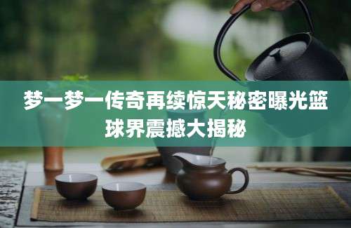 梦一梦一传奇再续惊天秘密曝光篮球界震撼大揭秘