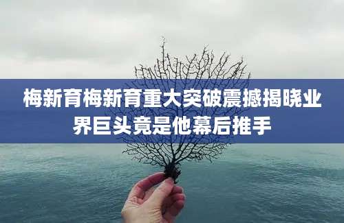 梅新育梅新育重大突破震撼揭晓业界巨头竟是他幕后推手