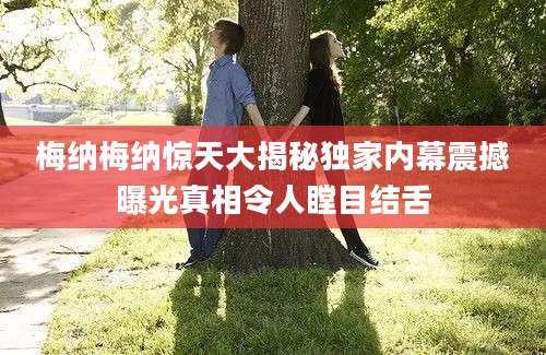 梅纳梅纳惊天大揭秘独家内幕震撼曝光真相令人瞠目结舌