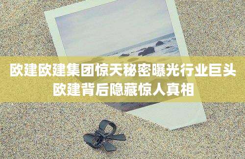 欧建欧建集团惊天秘密曝光行业巨头欧建背后隐藏惊人真相