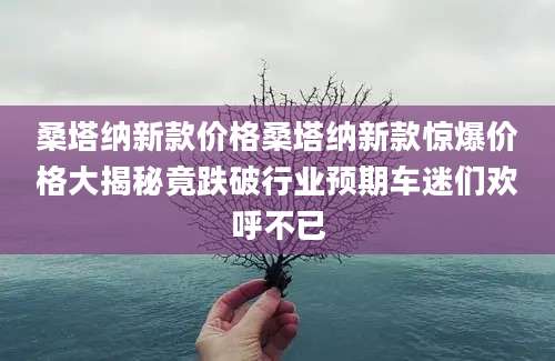 桑塔纳新款价格桑塔纳新款惊爆价格大揭秘竟跌破行业预期车迷们欢呼不已