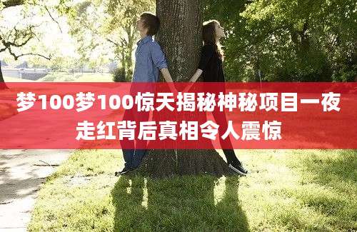 梦100梦100惊天揭秘神秘项目一夜走红背后真相令人震惊