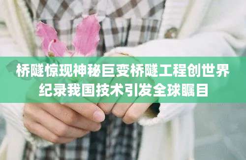 桥隧惊现神秘巨变桥隧工程创世界纪录我国技术引发全球瞩目