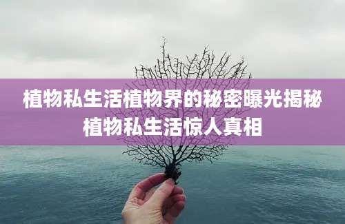 植物私生活植物界的秘密曝光揭秘植物私生活惊人真相