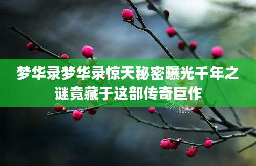 梦华录梦华录惊天秘密曝光千年之谜竟藏于这部传奇巨作