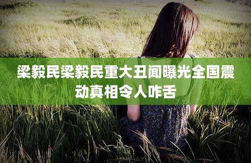 梁毅民梁毅民重大丑闻曝光全国震动真相令人咋舌