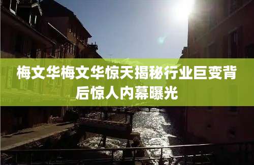 梅文华梅文华惊天揭秘行业巨变背后惊人内幕曝光