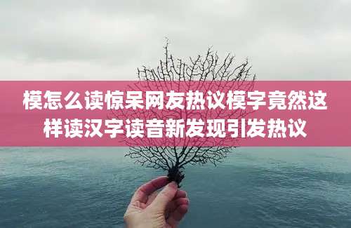 模怎么读惊呆网友热议模字竟然这样读汉字读音新发现引发热议