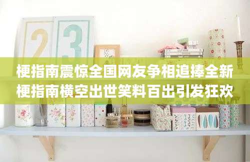 梗指南震惊全国网友争相追捧全新梗指南横空出世笑料百出引发狂欢