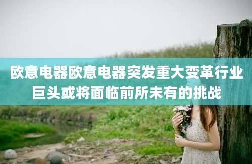 欧意电器欧意电器突发重大变革行业巨头或将面临前所未有的挑战
