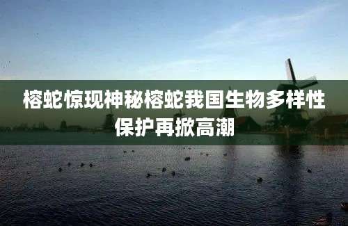 榕蛇惊现神秘榕蛇我国生物多样性保护再掀高潮