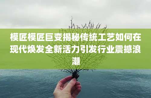 模匠模匠巨变揭秘传统工艺如何在现代焕发全新活力引发行业震撼浪潮