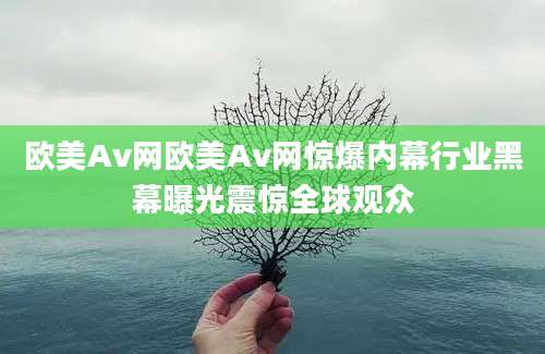 欧美Av网欧美Av网惊爆内幕行业黑幕曝光震惊全球观众