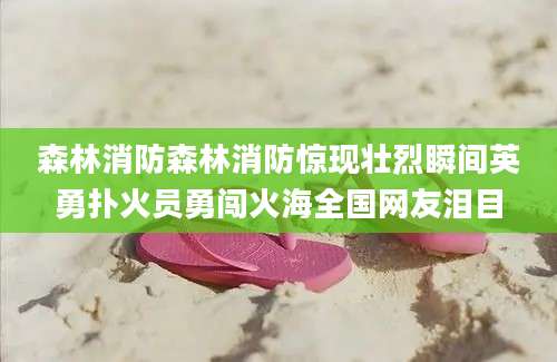 森林消防森林消防惊现壮烈瞬间英勇扑火员勇闯火海全国网友泪目