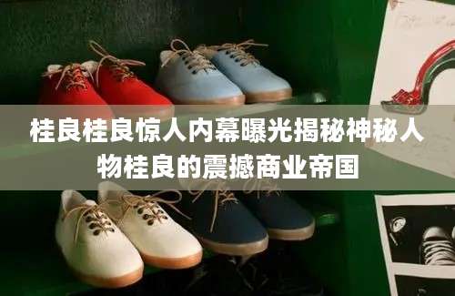 桂良桂良惊人内幕曝光揭秘神秘人物桂良的震撼商业帝国