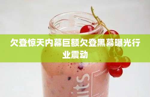 欠登惊天内幕巨额欠登黑幕曝光行业震动