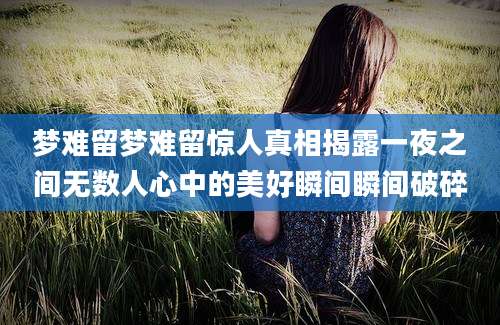 梦难留梦难留惊人真相揭露一夜之间无数人心中的美好瞬间瞬间破碎