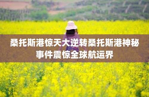 桑托斯港惊天大逆转桑托斯港神秘事件震惊全球航运界