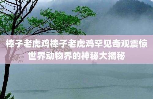 棒子老虎鸡棒子老虎鸡罕见奇观震惊世界动物界的神秘大揭秘