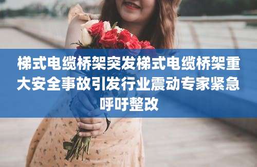 梯式电缆桥架突发梯式电缆桥架重大安全事故引发行业震动专家紧急呼吁整改