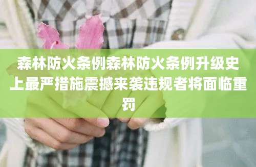 森林防火条例森林防火条例升级史上最严措施震撼来袭违规者将面临重罚