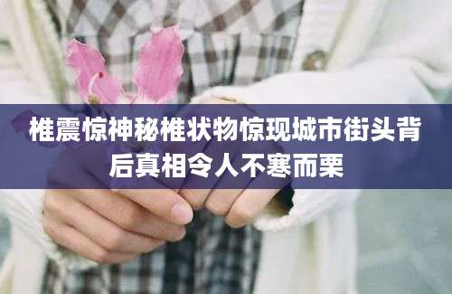 椎震惊神秘椎状物惊现城市街头背后真相令人不寒而栗