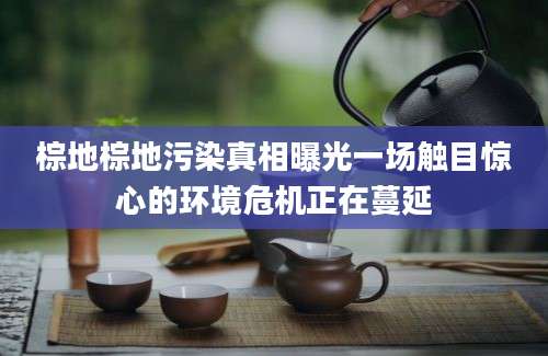棕地棕地污染真相曝光一场触目惊心的环境危机正在蔓延