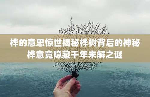 桦的意思惊世揭秘桦树背后的神秘桦意竟隐藏千年未解之谜