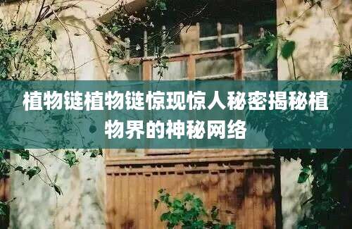 植物链植物链惊现惊人秘密揭秘植物界的神秘网络