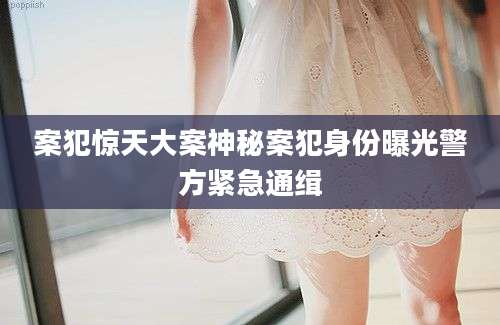案犯惊天大案神秘案犯身份曝光警方紧急通缉