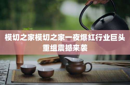 模切之家模切之家一夜爆红行业巨头重组震撼来袭