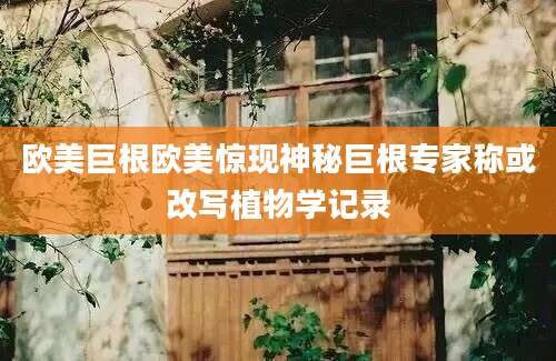 欧美巨根欧美惊现神秘巨根专家称或改写植物学记录