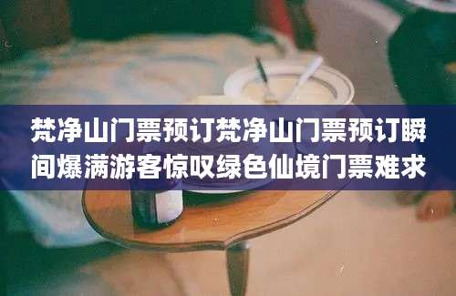 梵净山门票预订梵净山门票预订瞬间爆满游客惊叹绿色仙境门票难求