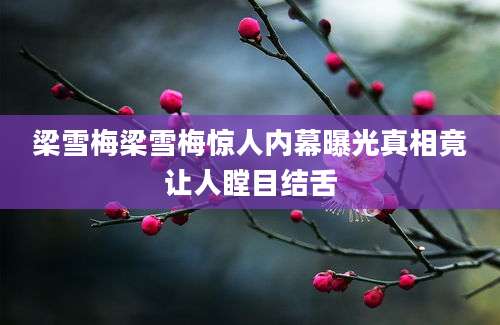 梁雪梅梁雪梅惊人内幕曝光真相竟让人瞠目结舌