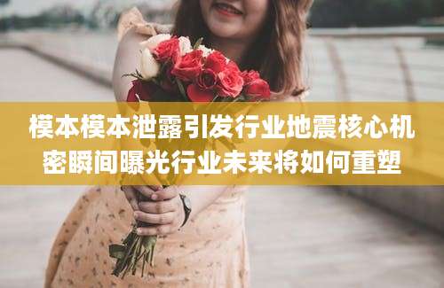 模本模本泄露引发行业地震核心机密瞬间曝光行业未来将如何重塑