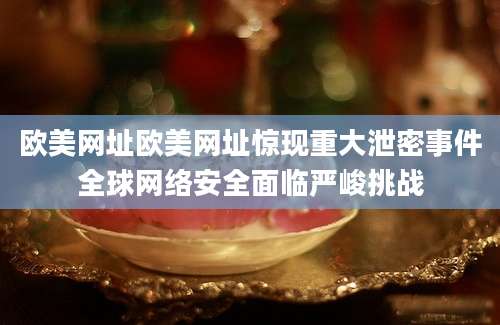 欧美网址欧美网址惊现重大泄密事件全球网络安全面临严峻挑战