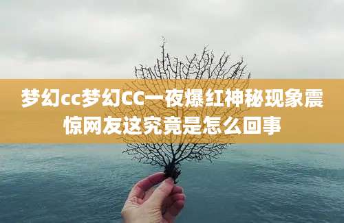 梦幻cc梦幻CC一夜爆红神秘现象震惊网友这究竟是怎么回事
